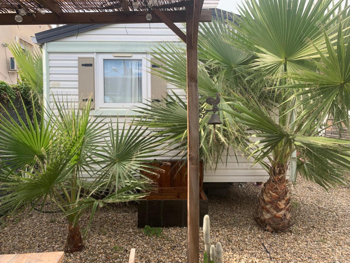 バルセロナNice Little Houseアパートメント エクステリア 写真
